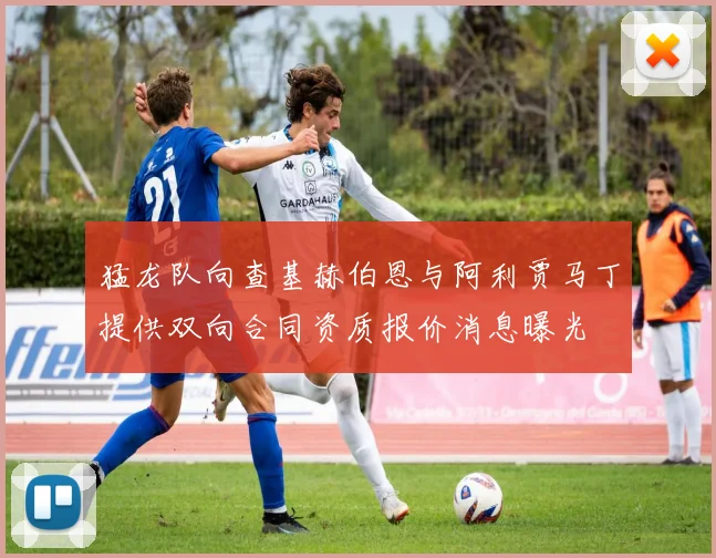 猛龙队向查基赫伯恩与阿利贾马丁提供双向合同资质报价消息曝光